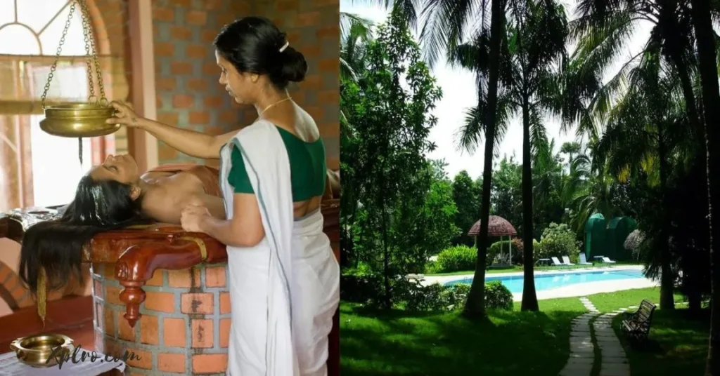 10 best Wellness Spas in India for Relaxation and Rejuvenation