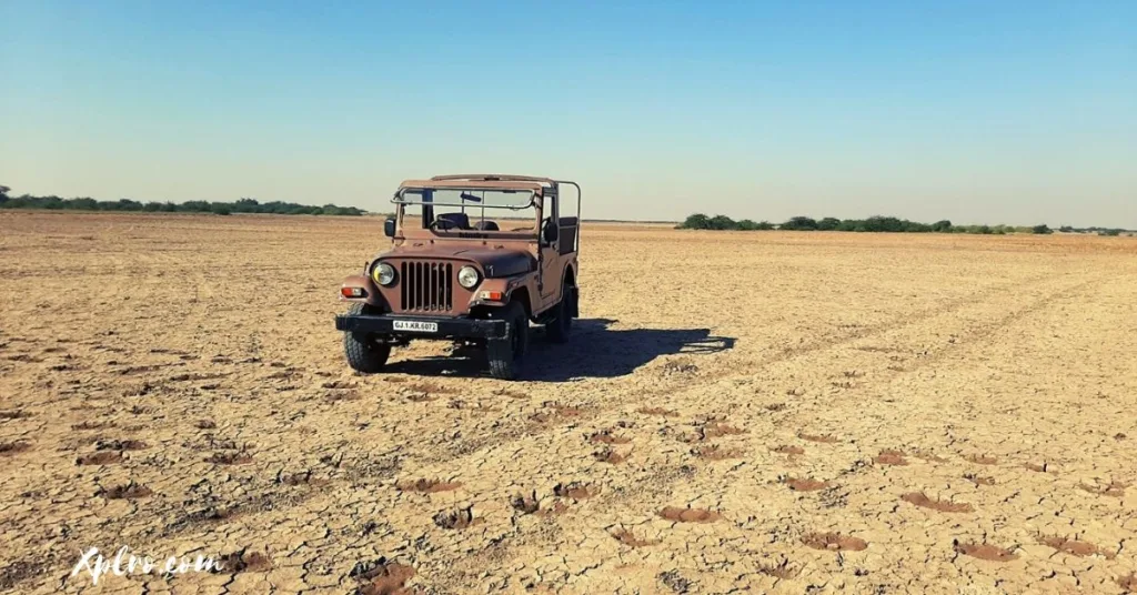 Little Rann of Kutch, Gujarat