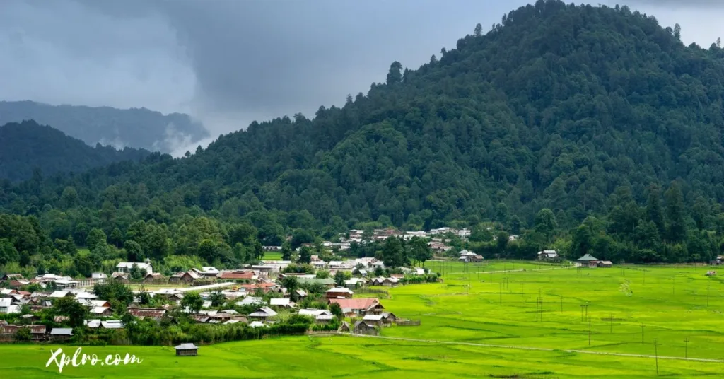 Ziro Valley, Xplro