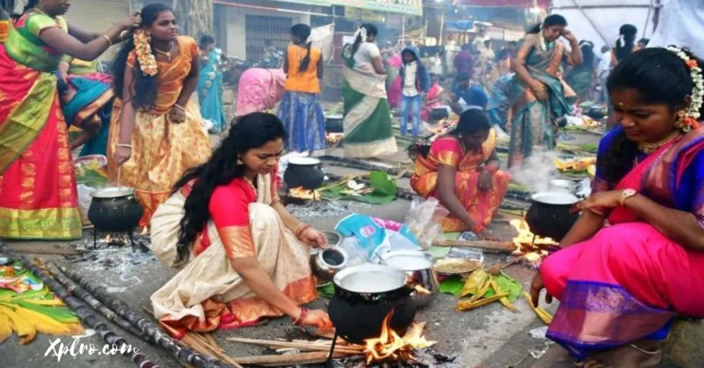 Pongal and Makar Sankranti