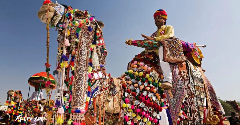 Attend the Pushkar Camel Fair