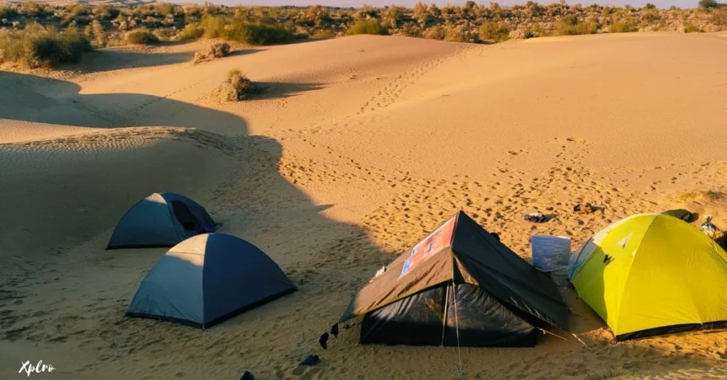 camping in Sand Dunes of Jaisalmer, Rajasthan, Xplro