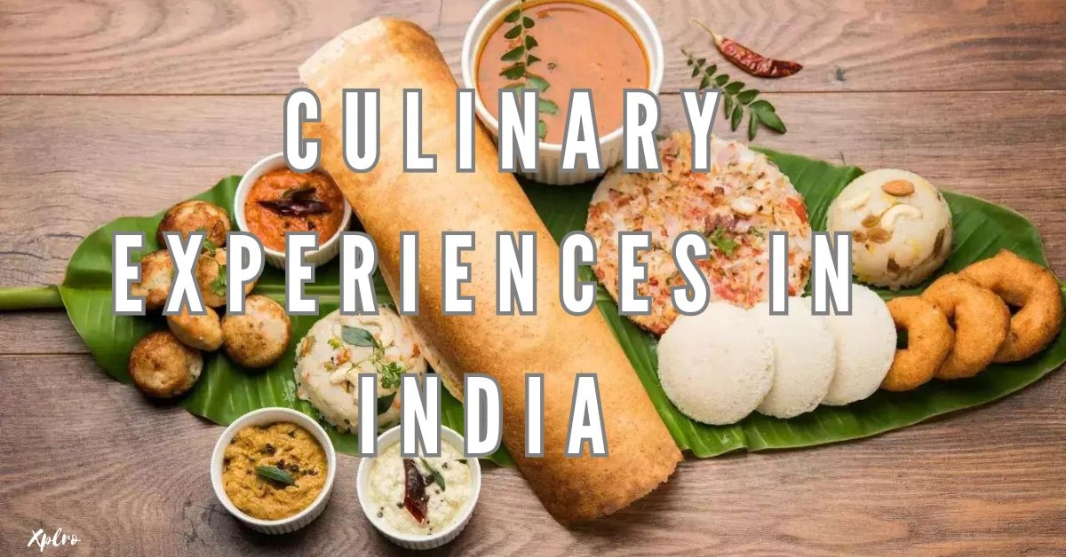Culinary Experiences in India