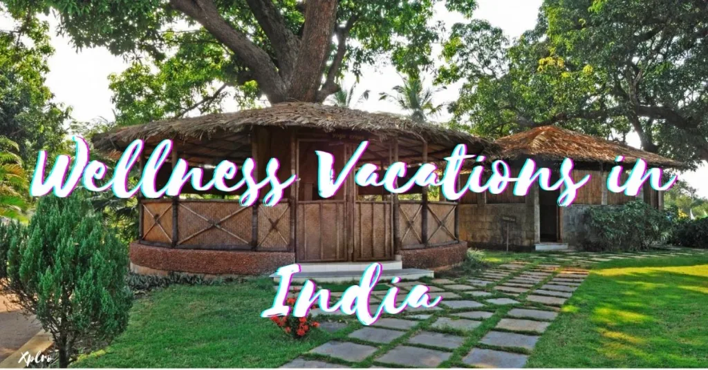 Top 10 Wellness Vacations in India for Rejuvenation