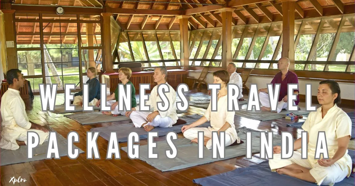 Wellness Travel Packages in India for Ultimate Relaxation