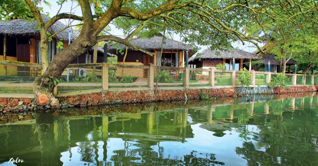 Top 10 Backwater Destinations in India You Must Visit