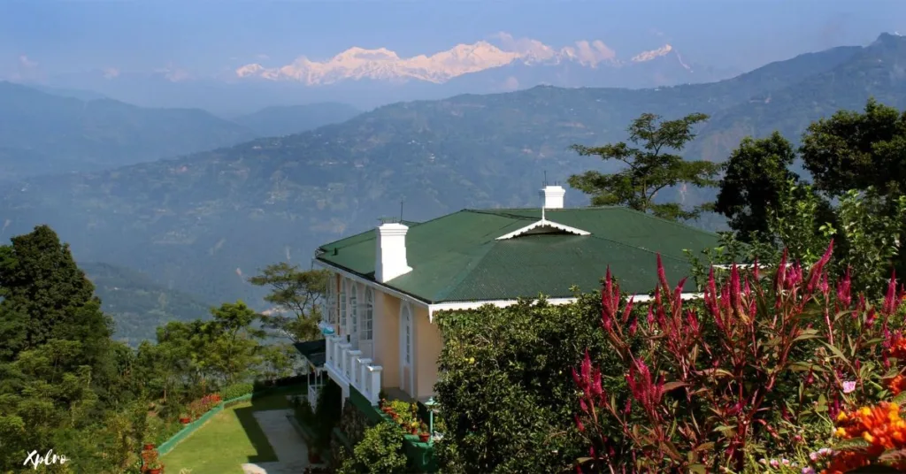 Glenburn Tea Estate, Darjeeling, Xplro