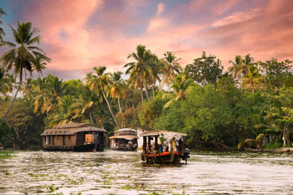 Alleppey Backwaters, Kerala