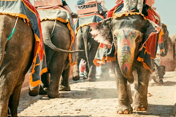 Amer Fort and Palace: Discover 7 Stunning Highlights of Jaipur’s Majestic Landmark