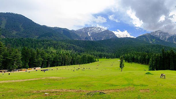 Top 10 Attractions in Pahalgam: A Nature Lover's Paradise for an Unforgettable Experience