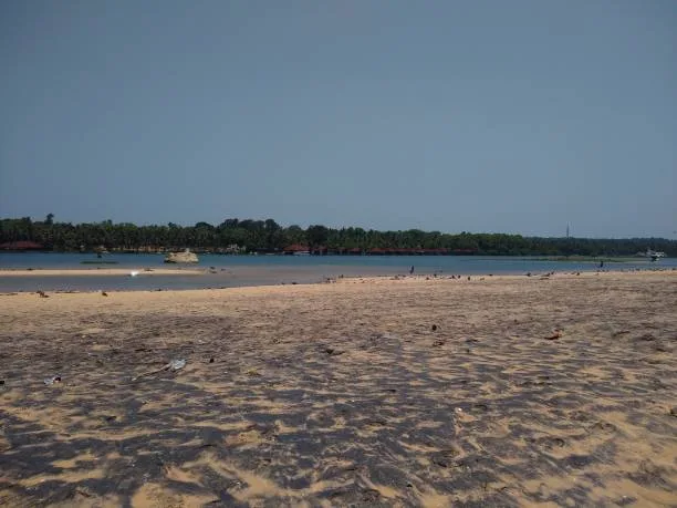 Beach Orissa: Explore 7 Pristine Beaches of Odisha for a Serene Getaway