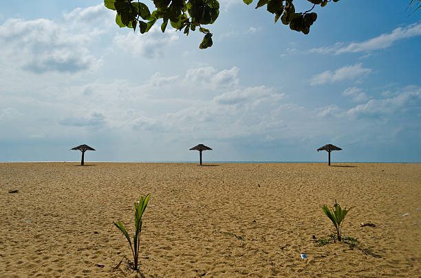 Top 8 Best Beaches at Kerala: Sun, Sand, and Serenity