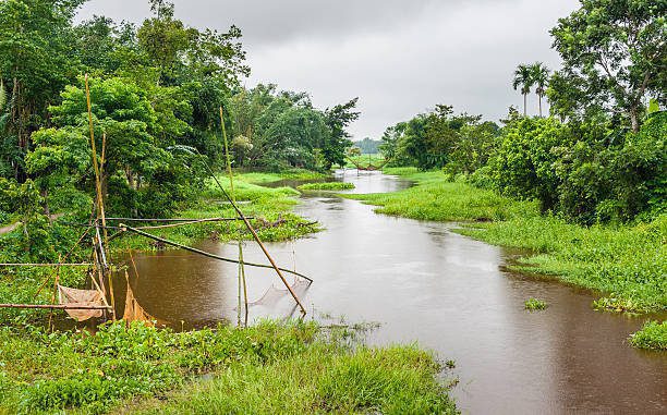 Top 10 Tourist Attractions in Jorhat: Unveiling Assam's Hidden Gems