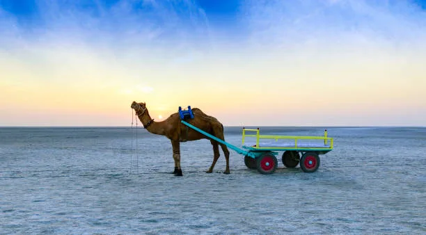 Anjar City: 9 Fascinating Reasons to Experience This Cultural and Historical Gem