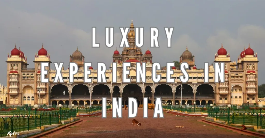 Top 10 Luxury Experiences in India You Must Try