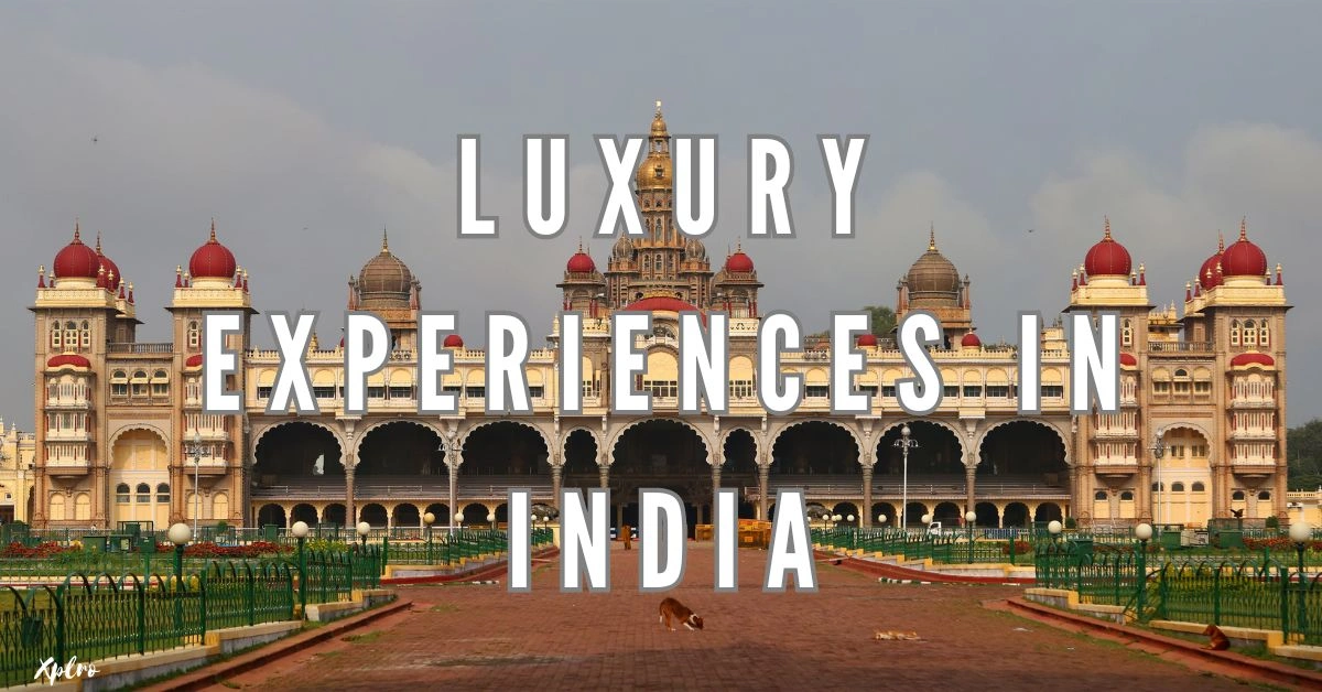 Unique Travel Experiences in India, Xplro