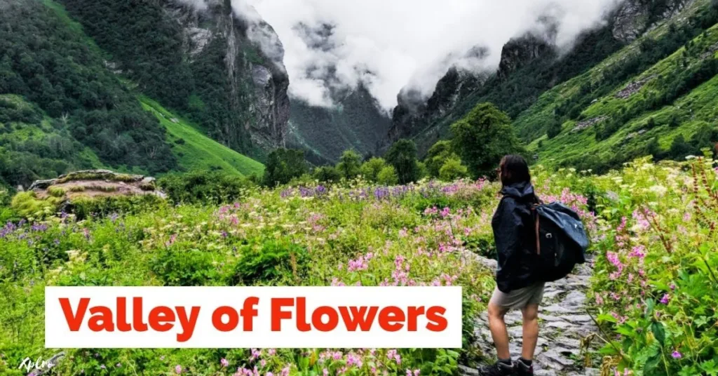 Valley of Flowers Trek, Uttarakhand, xplro