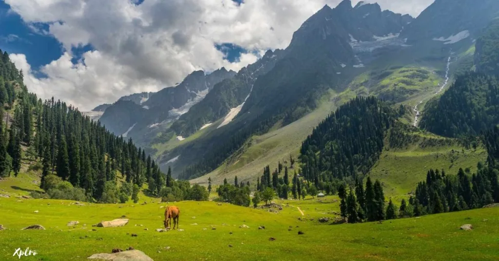 Kashmir Valley, Xplro