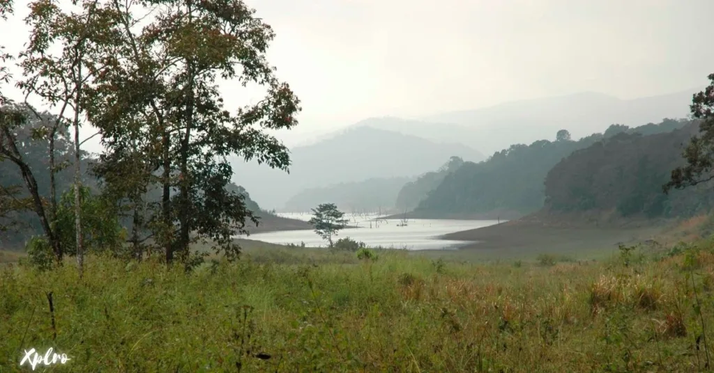 Periyar National Park, Xplro