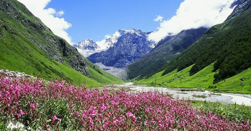 Valley of Flowers National Park, Xplro