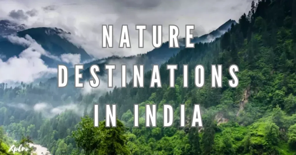 Top 10 Unique Nature Destinations in India for Nature Lovers