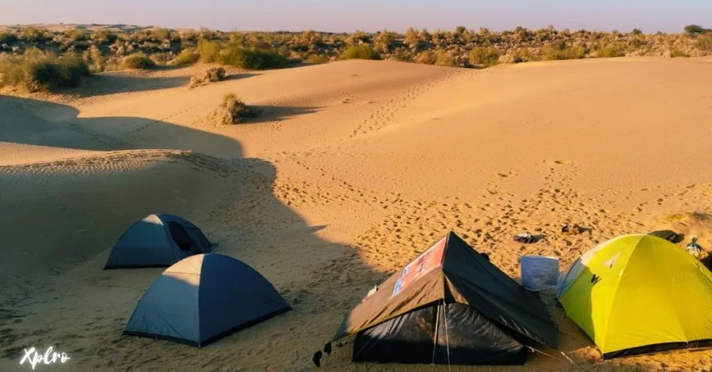 Camp Under the Stars in the Thar Desert, Xplro