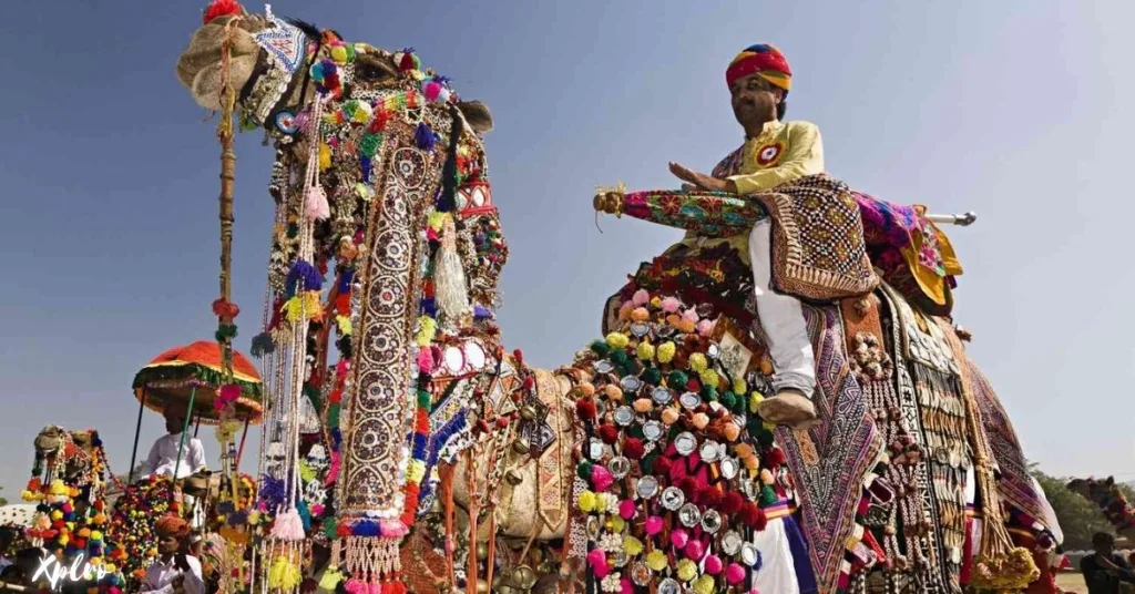 Pushkar Camel Fair, Xplro