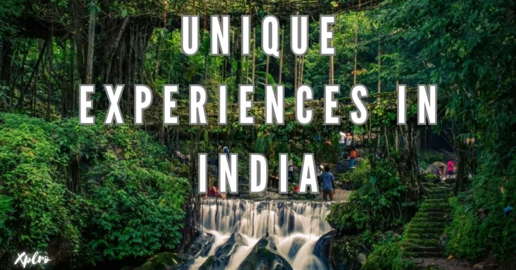 Top 10 Unique Experiences to Have in India