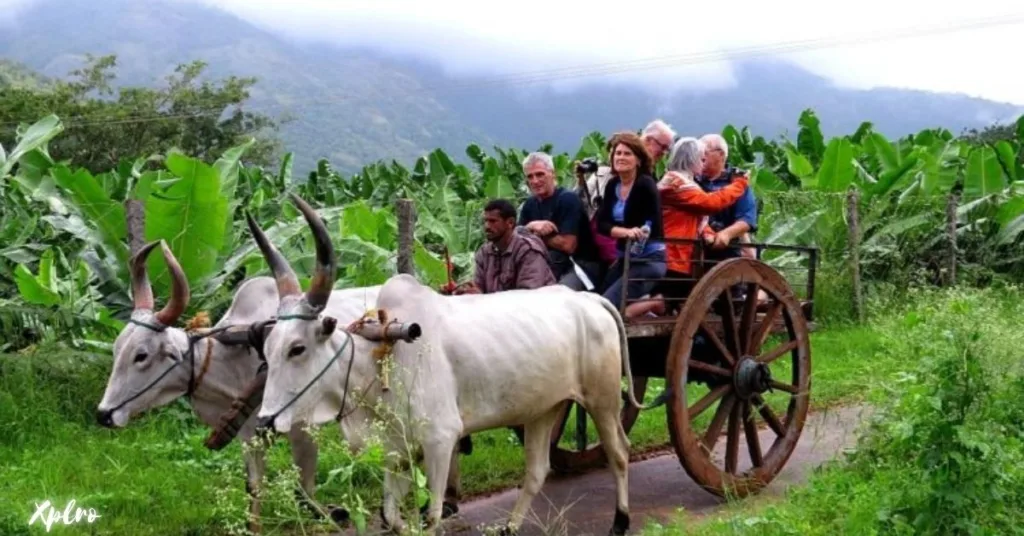 Organic Farm Tours, Xplro