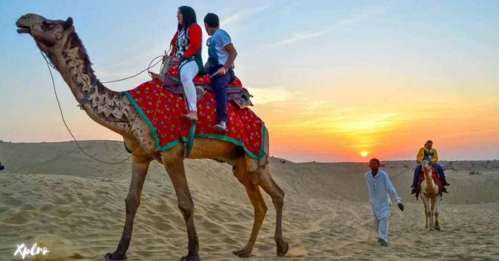 Camel Safari in Jaisalmer, Xplro