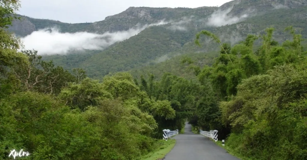 Bangalore to Ooty, Xplro