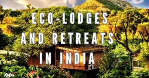 Top 10 Eco-Lodges and Retreats in India for Sustainable Travel