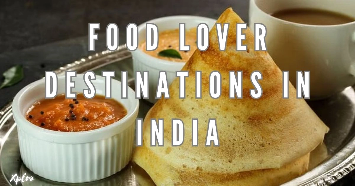 Food Lover Destinations in India, Xplro