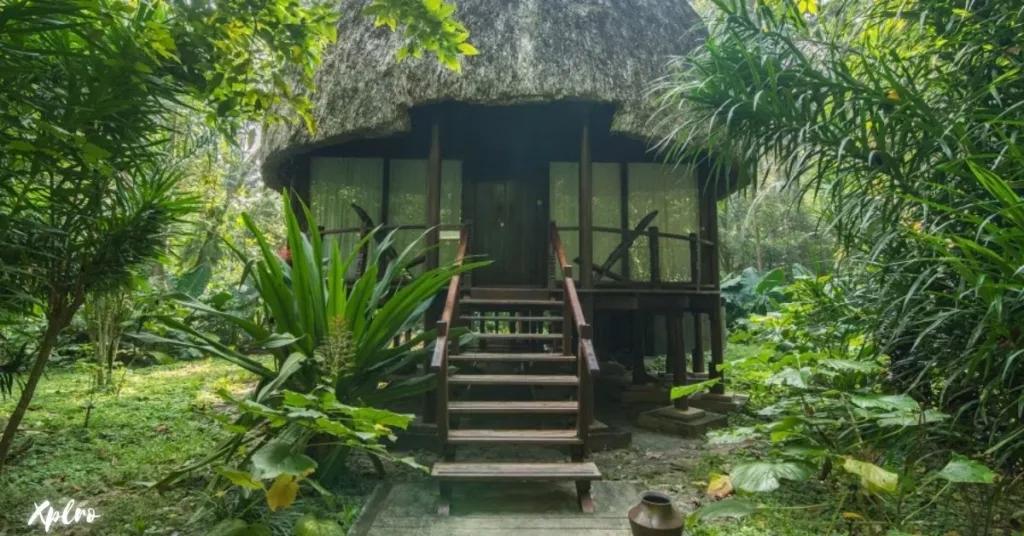 Barefoot at Havelock, Andaman & Nicobar Islands, Xplro