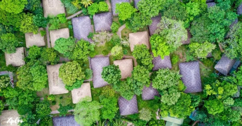 Spice Village, Thekkady, Kerala, Xplro