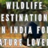 Wildlife Destinations in India for Nature Lovers