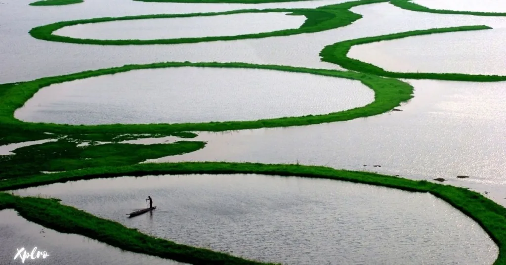 Loktak Lake, Manipur, Xplro