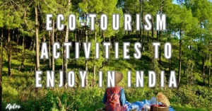 Top 10 Eco-Tourism Activities to Enjoy in India