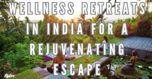 Top 10 Wellness Retreats in India for a Rejuvenating Escape