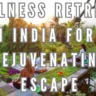 Top 10 Wellness Retreats in India for a Rejuvenating Escape