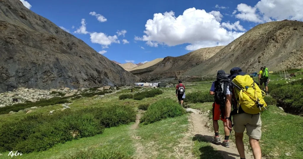 Markha Valley Trek – Ladakh, Xplro