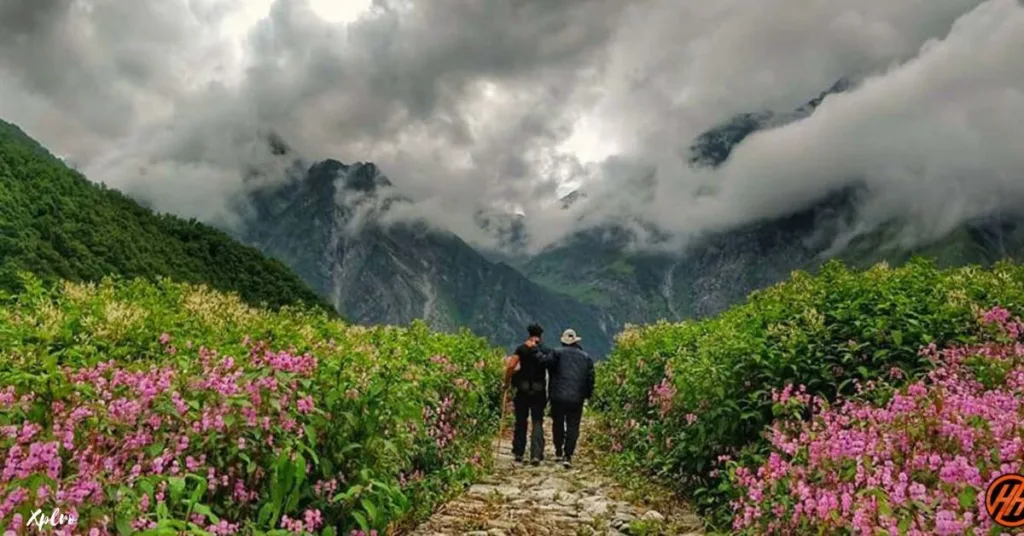 Valley of Flowers Trek – Uttarakhand, Xplro