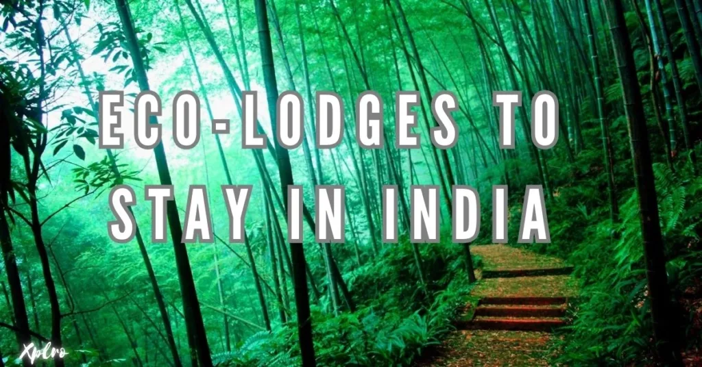 Top 10 Eco-Lodges to Stay in India