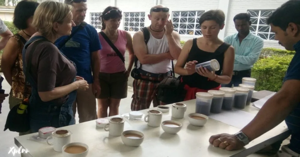 Tea-Tasting Tour in Assam, Xplro