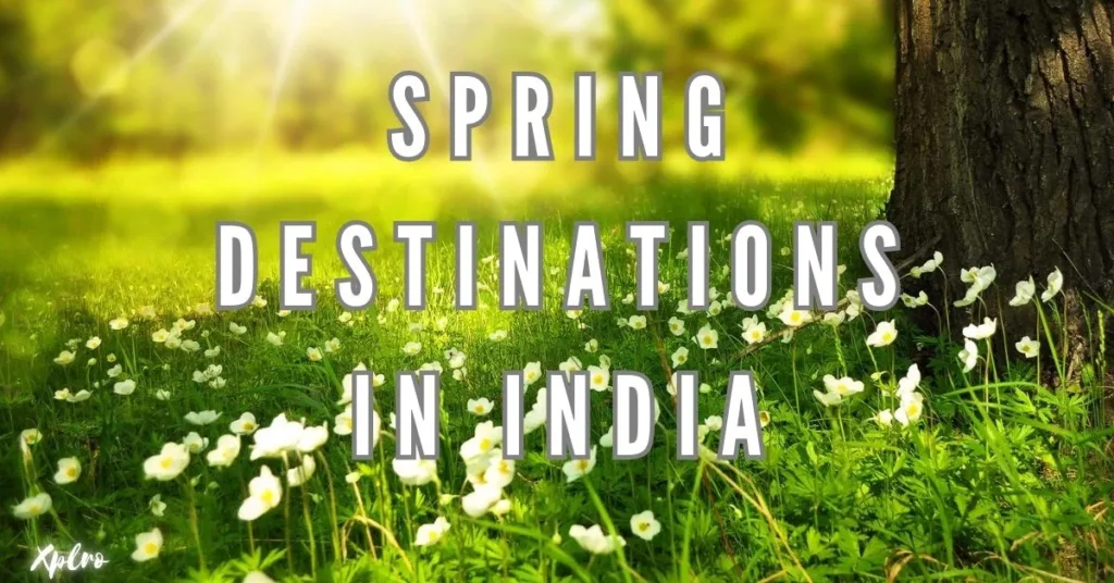 Top 10 Spring Destinations in India