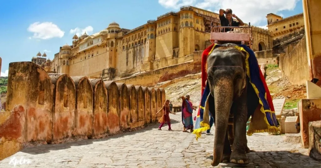 Ride a Royal Elephant at Amer Fort, Xplro