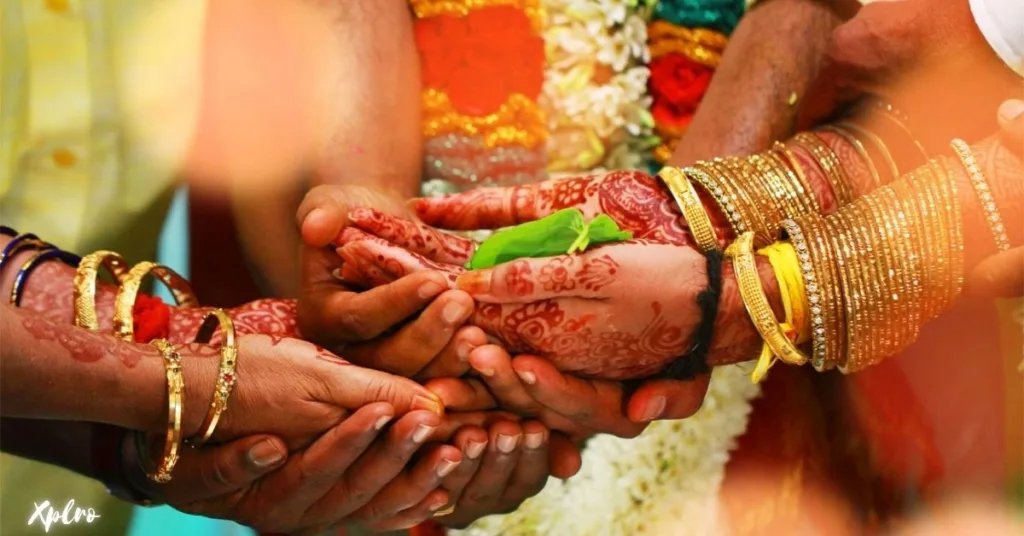 indian wedding, Xplro