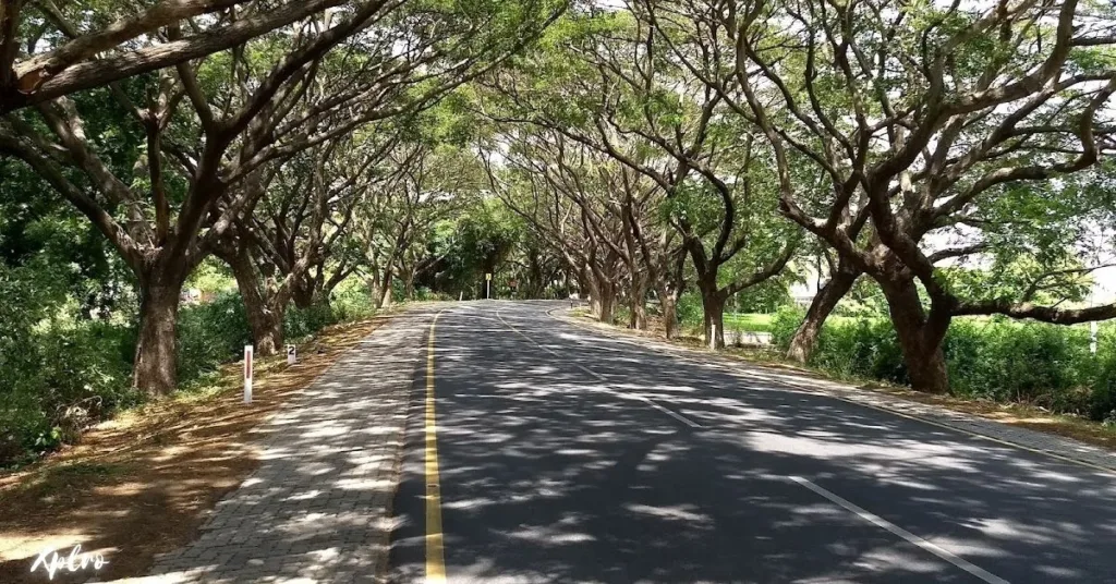 Chennai to Puducherry (East Coast Road): October to March, Xplro