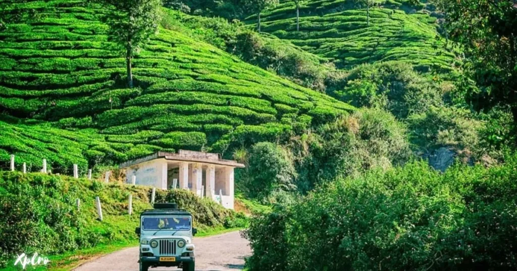 Munnar to Thekkady: October to May, Xplro