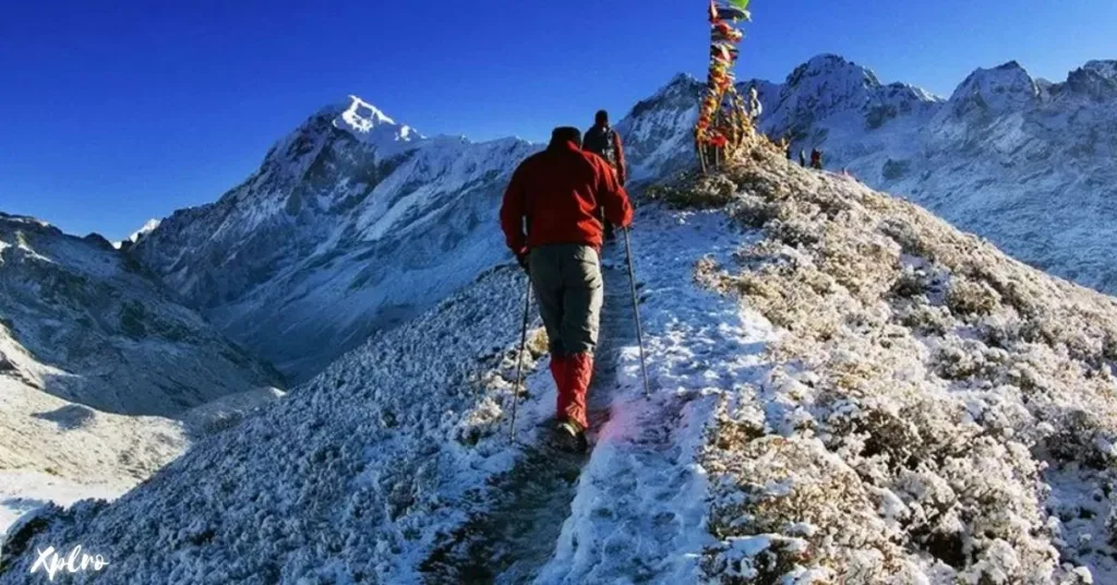 Dzongri Trek, Sikkim, Xplro